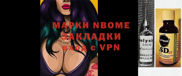 ГАЛЛЮЦИНОГЕННЫЕ ГРИБЫ Верея