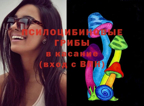 ГАЛЛЮЦИНОГЕННЫЕ ГРИБЫ Верея