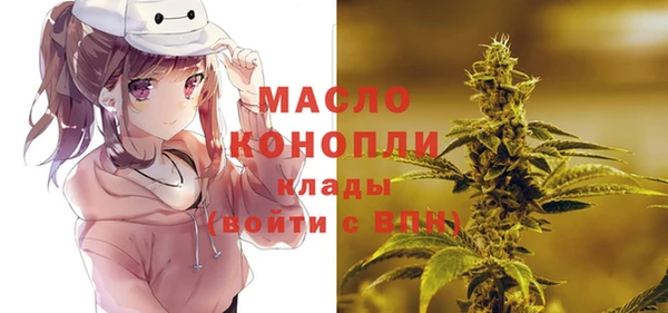 ГАЛЛЮЦИНОГЕННЫЕ ГРИБЫ Верея