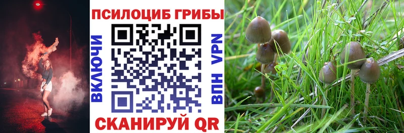 купить наркотик  Энгельс  Псилоцибиновые грибы прущие грибы 